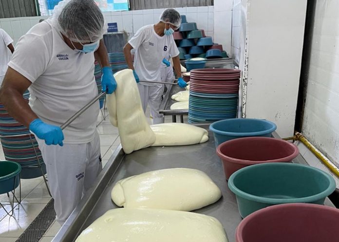Foto:Producción de queso en buen crecimiento en las exportaciones/Cortesía