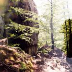 Foto:Impactante historia: Descubren a 'niña lobo' en Málaga/Cortesía