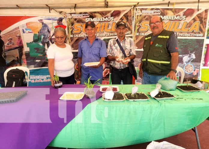 Feria de variedades de semillas criollas en Boaco 