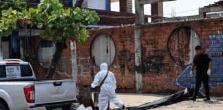 Hallan 10 cadáveres en México