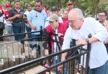 Foto: MINSA rinde homenaje a Silvia Ferrufina Auxiliar de enfermería, referente dentro del sistema de salud / TN8