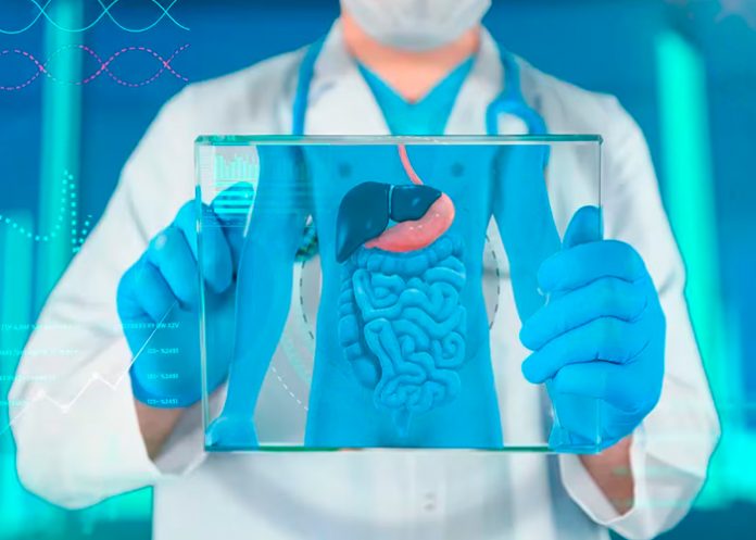 Foto: Prevención de la salud digestiva /cortesía Foto: Prevención de la salud digestiva /cortesía