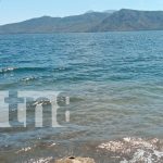 Sesentón celebraba con amigos en la Laguna de Apoyo y encontró la muerte Foto: Sesentón fallece en la Laguna de Apoyo / TN8