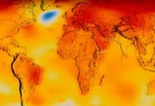 Foto: según la OMM, en América Latina y el Caribe se registró el año más cálido / Cortesìa