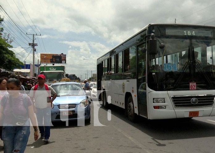 Foto: Cuido de nuevos buses en Managua / TN8