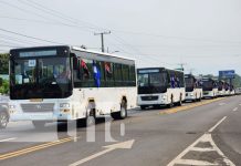 Leoneses con alegría saludan los nuevos 250 buses chinos en Nicaragua Foto: Buses chinos pasan por la ciudad de León / TN8