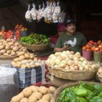 Canasta básica: Frijoles, aceite y queso con precios más bajos en esta semana Foto: Productos de la canasta básica bajan de precio / TN8