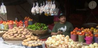 Foto: Productos de la canasta básica bajan de precio / TN8