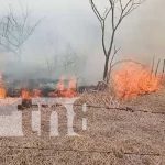 Incendio forestal casi arrasa con una escuelita en la Isla de Ometepe Foto: Incendio de maleza en una zona de Ometepe / TN8