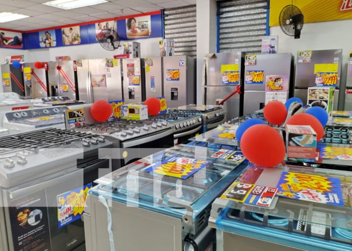 gallo-in-5 Foto: El Gallo Más Gallo en Linda Vista, Managua / TN8