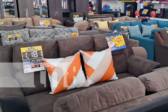 Foto: El Gallo Más Gallo, sucursal El Zumen / TN8