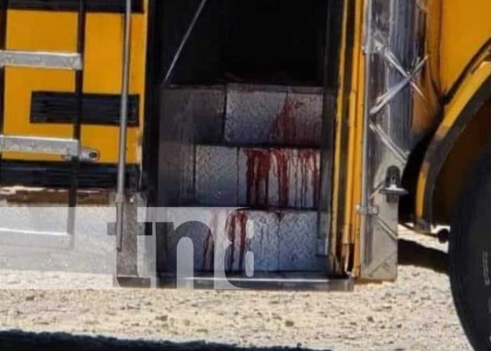 Foto: Joven mató a cobrador de bus en Jinotega / TN8 Foto: Joven mató a cobrador de bus en Jinotega / TN8