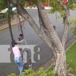 Ojo con ola de robos en Managua: Delincuentes captados en cámara Foto: Varios asaltos en los últimos días en Maangua / TN8