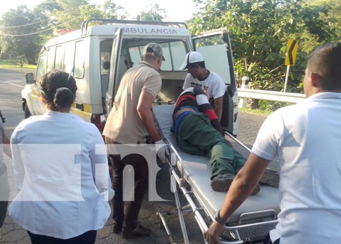 Foto: Motociclista choca con semoviente en Rivas / TN8
