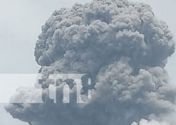 Foto: Emanación de gases y cenizas en el Volcán Concepción, Ometepe / TN8