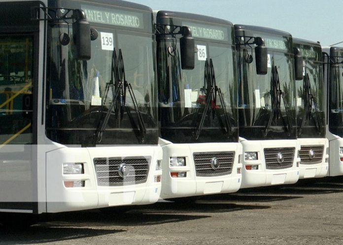 Foto: Nuevos buses chinos para cooperativas de Managua / TN8 Foto: Nuevos buses chinos para cooperativas de Managua / TN8
