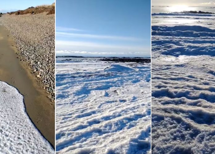 Foto: Frio extremo en Argentina /cortesía Foto: Frio extremo en Argentina /cortesía