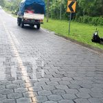 Accidente de tránsito deja a una mujer herida en Moyogalpa, Isla de Ometepe Foto: Accidente de tránsito deja a una mujer herida en Moyogalpa, Isla de Ometepe/TN8