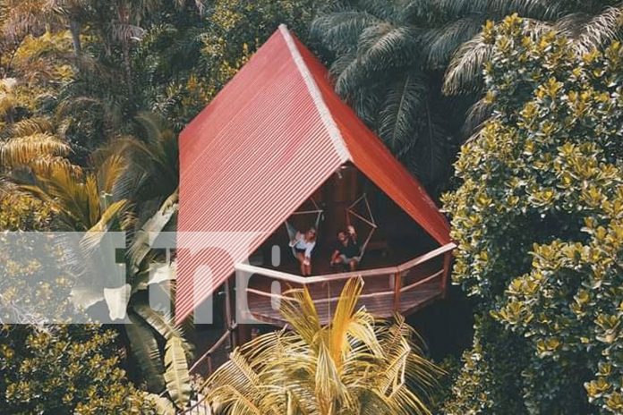 Opciones turísticas durante el invierno en la Isla de Ometepe