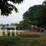Muere un motociclista tras impactar contra un carretón de caballo en Rivas Foto: Encuentran restos de caballos/TN8