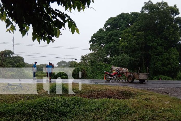 1 Foto: Encuentran restos de caballos/TN8