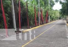 Obras de adoquinamiento en Ometepe