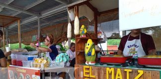 Foto: Gastronomía, artesanía y mucho más en el Parque Nacional de Ferias en Managua, Nicaragua / TN8