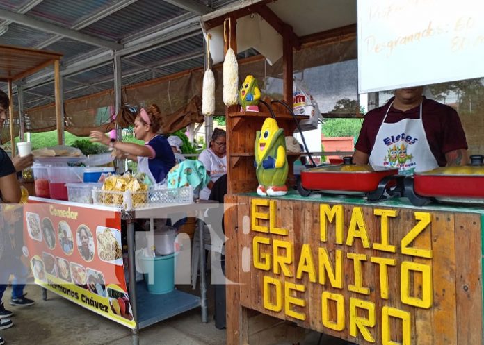 Foto: Gastronomía, artesanía y mucho más en el Parque Nacional de Ferias en Managua, Nicaragua / TN8 Foto: Gastronomía, artesanía y mucho más en el Parque Nacional de Ferias en Managua, Nicaragua / TN8