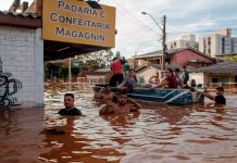 Leptospirosis causa la muerte de 13 personas en Brasil Foto: Leptospirosis causa la muerte de 13 personas en Brasil / Cortesía