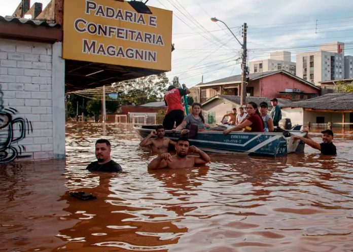 Foto: Leptospirosis causa la muerte de 13 personas en Brasil / Cortesía