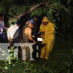 Enorme árbol cae sobre la humanidad de dos personas en León Lluvias y vientos dejan como resultado un fallecido en León