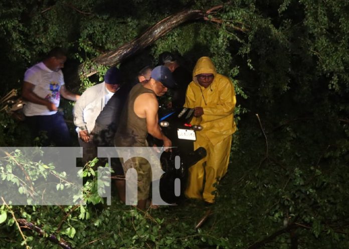 Lluvias y vientos dejan como resultado un fallecido en León