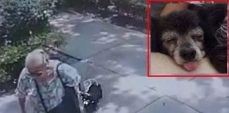 Robó, mató y enterró a la perrita de sus vecinos 