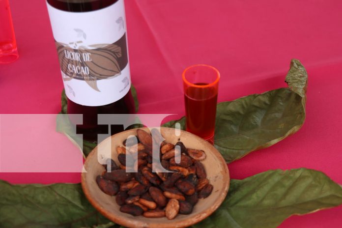 1 Foto: Los sabores y olores se hicieron presente en el Festival del Chocolate desde León/TN8