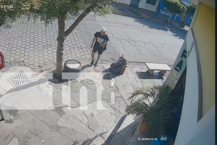 1 Foto: Siguen los robos en Managua: Delincuentes captados en cámara / TN8