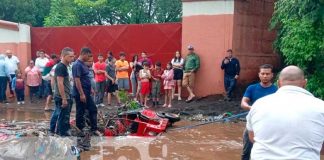 Foto: Caponero escapa de la muerte al intentar cruzar las fuertes corrientes en Sabana Grande / TN8