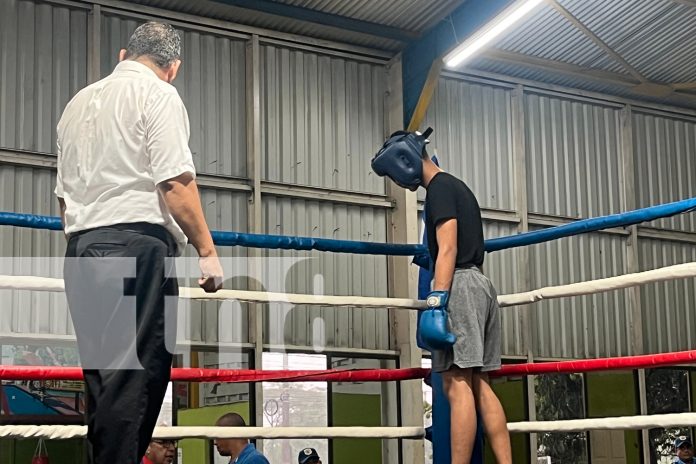 1 Foto: Alcaldía de Managua realizó el campeonato de boxeo 2024 en el Distrito VI/TN8