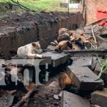 Autoridades de Rivas se activan ante la caída de fuertes lluvias Foto: Autoridades de Rivas se activan ante la caída de fuertes lluvias / TN8