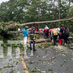 Fuertes vientos causan estragos en Carretera Dipilto-Las Manos en Nueva Segovia Fuertes vientos causan estragos en Carretera Dipilto-Las Manos en Nueva Segovia