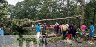 Fuertes vientos causan estragos en Carretera Dipilto-Las Manos en Nueva Segovia
