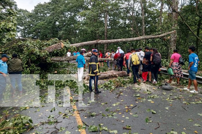 1 Fuertes vientos causan estragos en Carretera Dipilto-Las Manos en Nueva Segovia