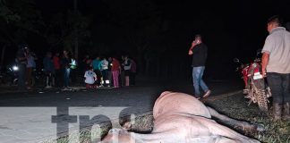 Foto: Carretera Ocotal-Jalapa cobra la vida de otro motociclista/TN8