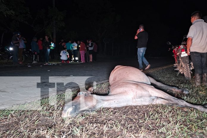 Foto: Carretera Ocotal-Jalapa cobra la vida de otro motociclista/TN8