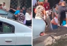 Viral: Tremendo «desmadre» se armó entre vecinos y cuidadores de carros Foto: Pelea se hace viral en redes /cortesía