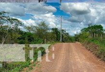 Productores de Waylawas incentivarán turismo con carretera Foto: Productores de Waylawas Impulsan Turismo con Nueva Carretera / TN8
