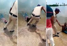 Viral: Tremendo susto se llevaron al pensar que se trataba de un ‘cadáver’ Foto: El video viral que dejó a todos muertos de "risas" /cortesía