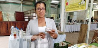 Foto: El cacao y sus derivados, una gran oportunidad para Nicaragua/TN8