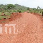 Gobierno inaugura nuevos caminos productivos en Pueblo Nuevo, Costa Caribe Norte Foto: Gobierno inaugura nuevos caminos productivos en Pueblo Nuevo, Costa Caribe Norte/TN8
