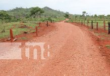 Foto: Gobierno inaugura nuevos caminos productivos en Pueblo Nuevo, Costa Caribe Norte/TN8