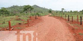 Foto: Gobierno inaugura nuevos caminos productivos en Pueblo Nuevo, Costa Caribe Norte/TN8